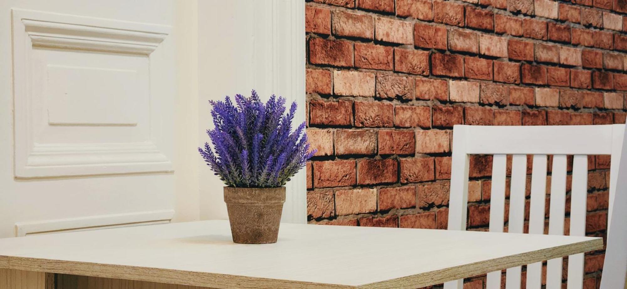 Friends - Your Cosy Apartment In The Center تبليسي المظهر الخارجي الصورة